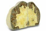 Beautiful Septarian Geode Bookends - Utah #288946-2